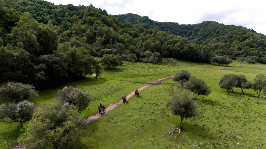 陇县天气预报，宝鸡天气预报？-第3张图片-优品飞百科