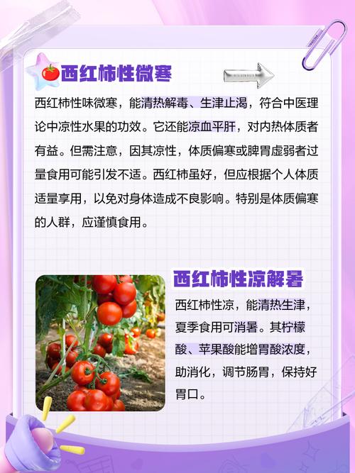 番茄是水果还是蔬菜，是凉性的还是热性的？番茄是水果还是蔬菜,是凉性的还是热性的？-第1张图片-优品飞百科