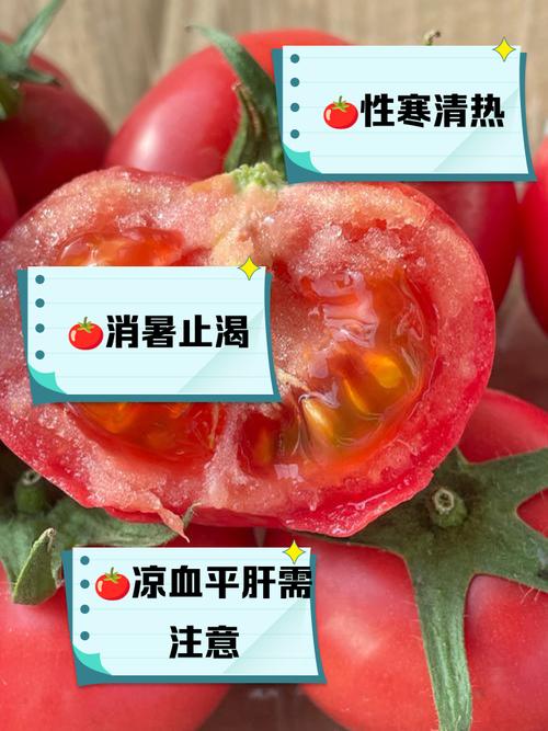 番茄是水果还是蔬菜，是凉性的还是热性的？番茄是水果还是蔬菜,是凉性的还是热性的？-第2张图片-优品飞百科