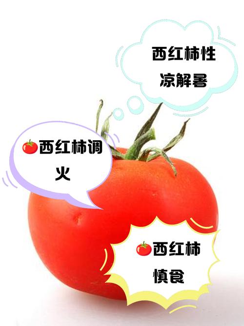 番茄是水果还是蔬菜，是凉性的还是热性的？番茄是水果还是蔬菜,是凉性的还是热性的？-第3张图片-优品飞百科