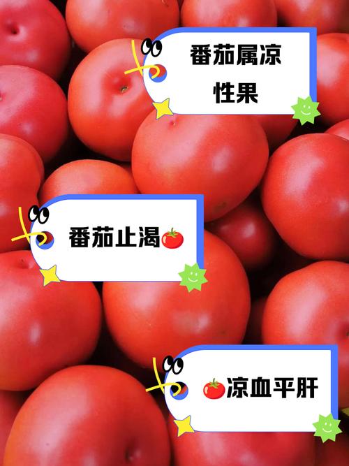 番茄是水果还是蔬菜，是凉性的还是热性的？番茄是水果还是蔬菜,是凉性的还是热性的？-第4张图片-优品飞百科