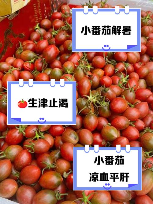 番茄是水果还是蔬菜，是凉性的还是热性的？番茄是水果还是蔬菜,是凉性的还是热性的？-第6张图片-优品飞百科