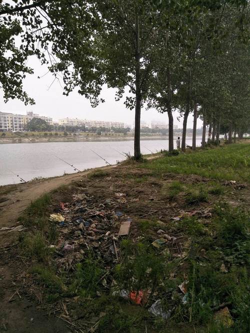 淮阳天气预报15天，淮阳天气预报15天查询结果表-第3张图片-优品飞百科