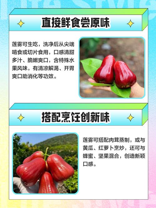 莲雾好吃吗,(吃法介绍)?莲雾能吃吗?怎么吃??-第3张图片-优品飞百科 莲雾好吃吗,(吃法介绍)?莲雾能吃吗?怎么吃??-第3张图片-优品飞百科