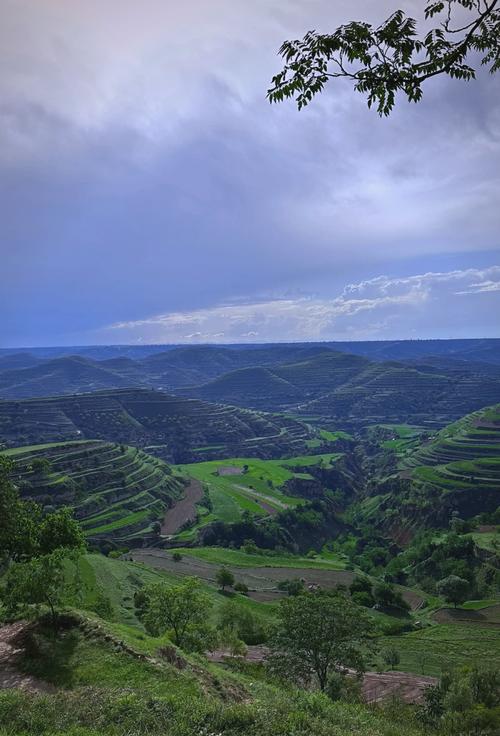 甘肃庆阳西峰天气预报，甘肃庆阳西峰的天气？-第2张图片-优品飞百科