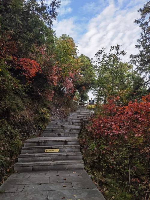 照金天气预报，铜川照金天气预报-第4张图片-优品飞百科