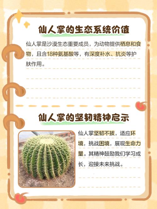 仙人掌的介绍，仙人掌的作用？仙人掌的介绍,仙人掌的作用有哪些？-第2张图片-优品飞百科