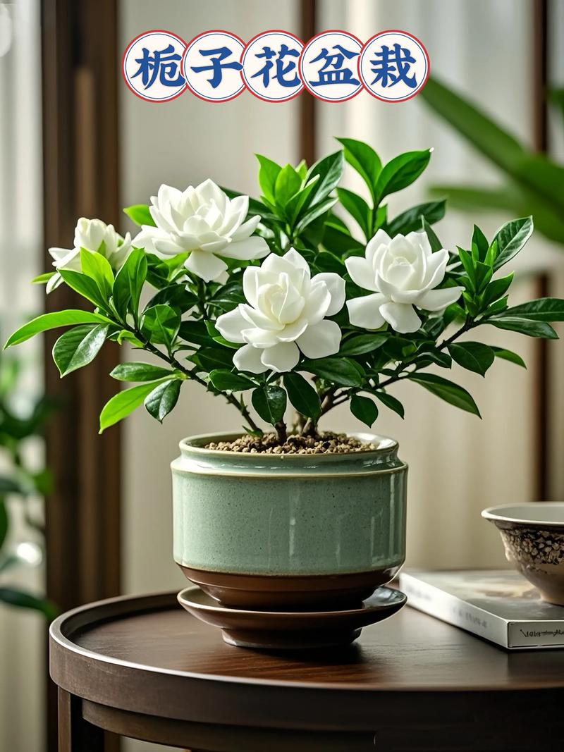 栀子花可以吃吗？多层栀子花可以吃吗？-第6张图片-优品飞百科