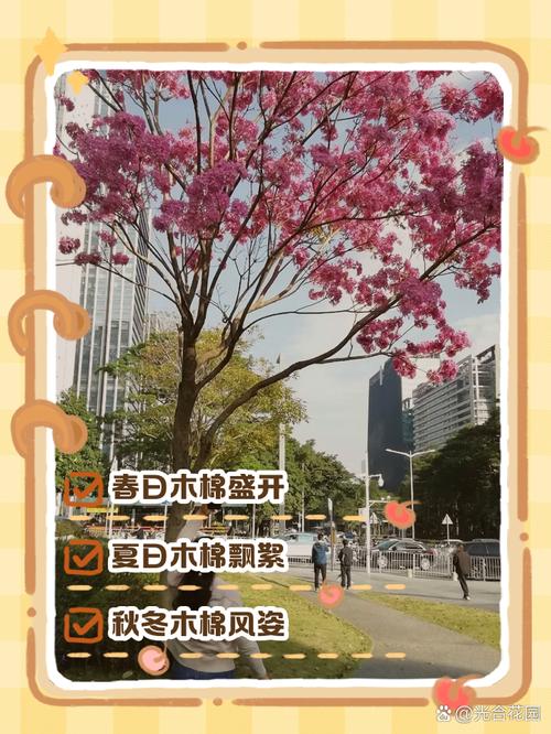 木棉是什么，是花还是树，木棉是指-第3张图片-优品飞百科