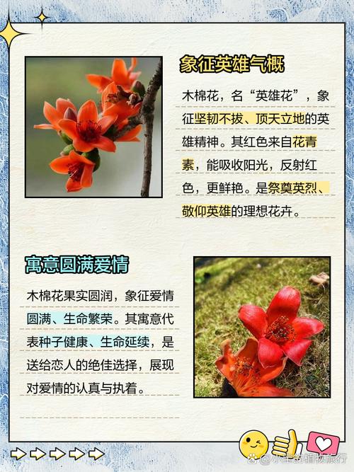 木棉是什么，是花还是树，木棉是指-第6张图片-优品飞百科