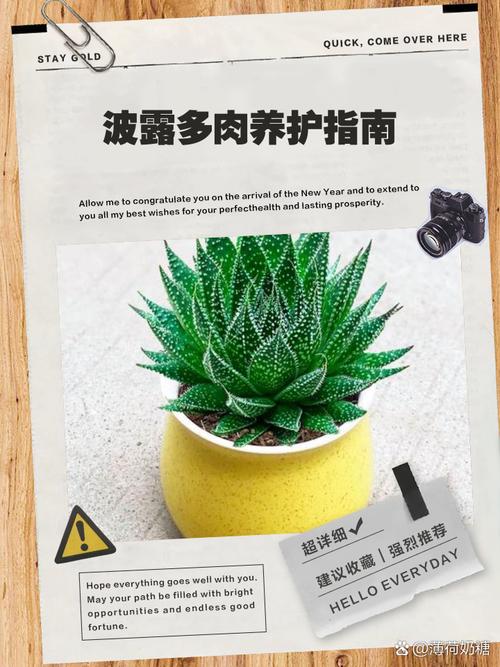 波路的养殖方法，波路怎么种-第6张图片-优品飞百科