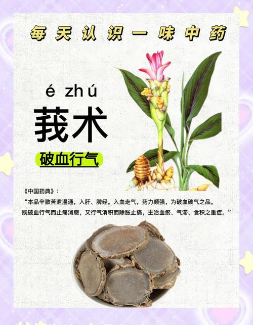 莪术的功效与作用,莪术的功效与作用及禁忌-第4张图片-优品飞百科 莪术的功效与作用,莪术的功效与作用及禁忌-第4张图片-优品飞百科