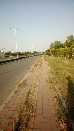 天津市静海区天气预报，天津市静海区天气预报蒜蓉荷兰豆做法-第1张图片-优品飞百科