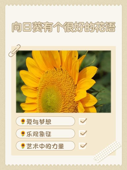 向日葵的寓意，向日葵的寓意8个字？-第2张图片-优品飞百科