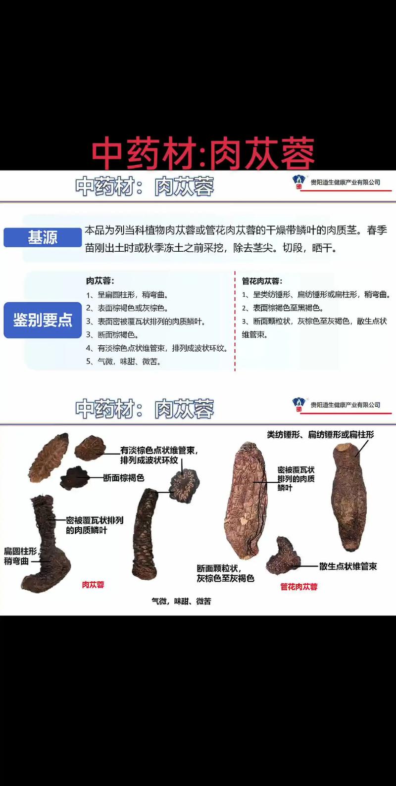肉苁蓉的作用和使用方法，肉苁蓉的作用和使用方法禁忌-第2张图片-优品飞百科