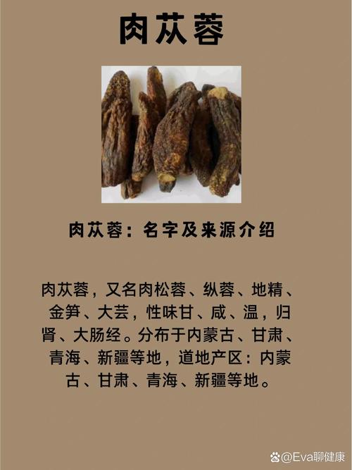 肉苁蓉的作用和使用方法，肉苁蓉的作用和使用方法禁忌-第3张图片-优品飞百科