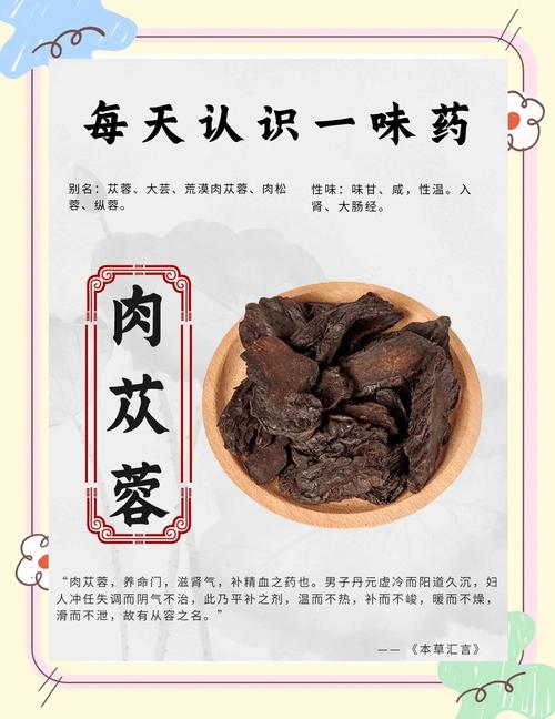 肉苁蓉的作用和使用方法，肉苁蓉的作用和使用方法禁忌-第5张图片-优品飞百科