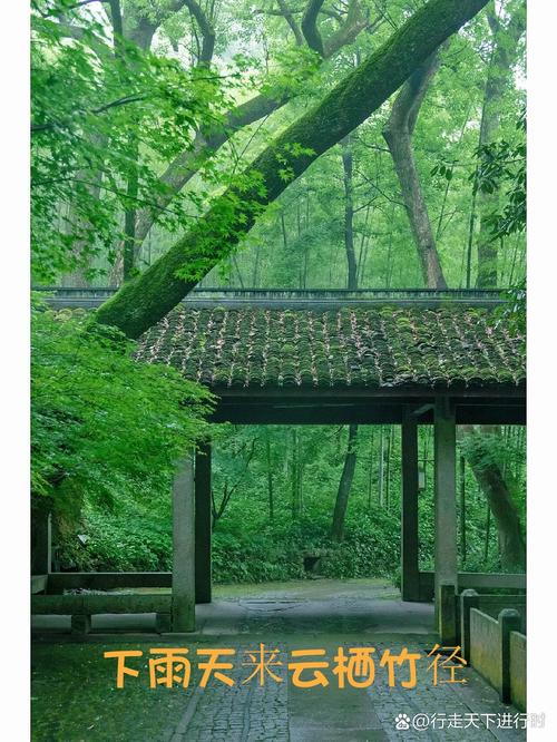 杭州西湖区天气情况,杭州市西湖天气预报了7天?-第4张图片-优品飞百科 杭州西湖区天气情况,杭州市西湖天气预报了7天?-第4张图片-优品飞百科