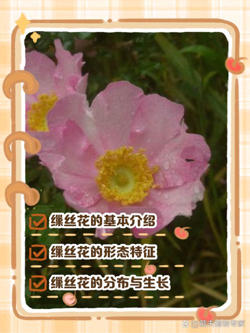 缫丝花有什么作用，缫丝工是干什么的?？-第1张图片-优品飞百科