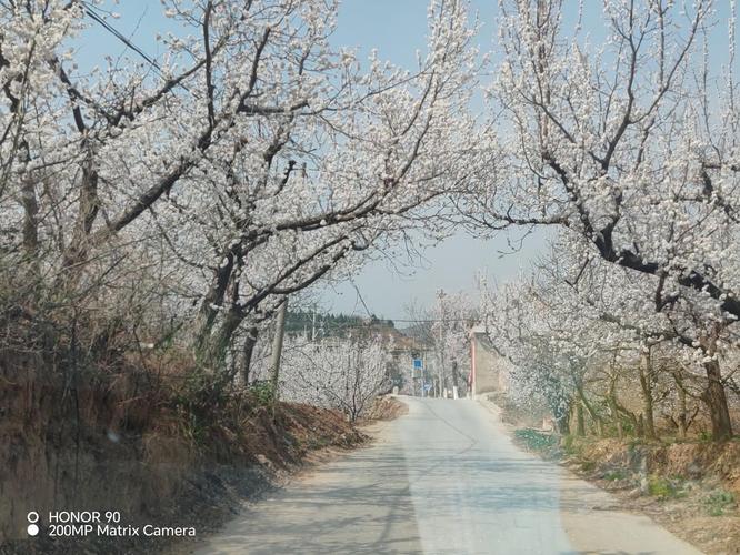 咸阳礼泉天气预报？咸阳礼泉天气预报一周？-第3张图片-优品飞百科