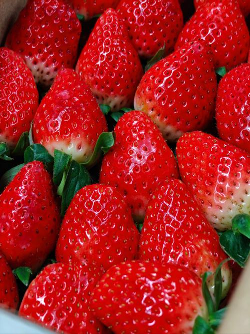 什么的草莓，草莓图片，什么什么的草莓填空？-第4张图片-优品飞百科