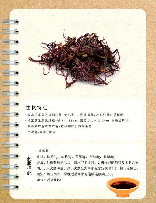 紫菀的养殖方法，紫菀花的养殖要点及注意事项？-第7张图片-优品飞百科