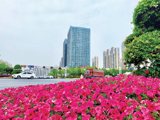 阿克苏适合养什么花,市花和市树是什么,阿克苏花卉基地?-第4张图片-优品飞百科 阿克苏适合养什么花,市花和市树是什么,阿克苏花卉基地?-第4张图片-优品飞百科