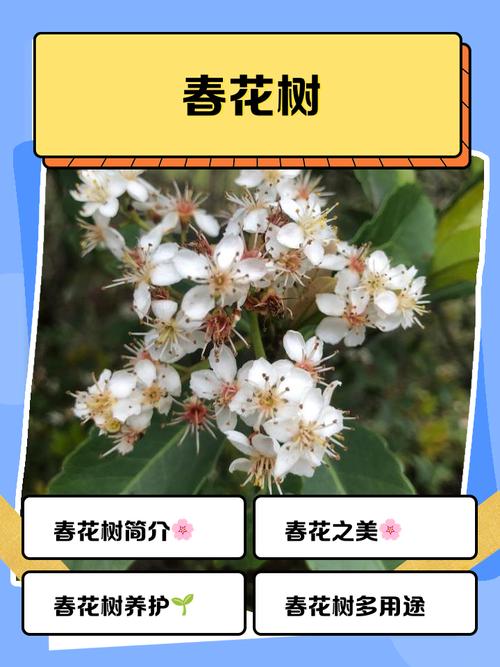 宜春适合养什么花，市花和市树是什么，宜春适合种植什么果树？-第4张图片-优品飞百科