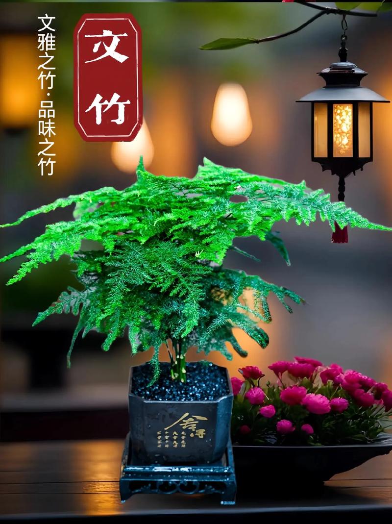 文竹放在卧室好吗，文竹放卧室风水禁忌-第3张图片-优品飞百科