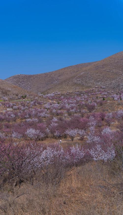 萧县30天天气预报，萧县30天天气预报实况？-第6张图片-优品飞百科