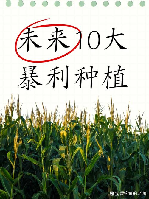 未来10大暴利种植？未来10大暴利种植果树？-第2张图片-优品飞百科