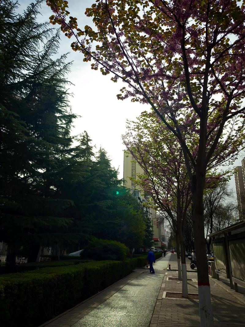 宝鸡明天天气预报最新？宝鸡明日天气预报24小时？-第3张图片-优品飞百科