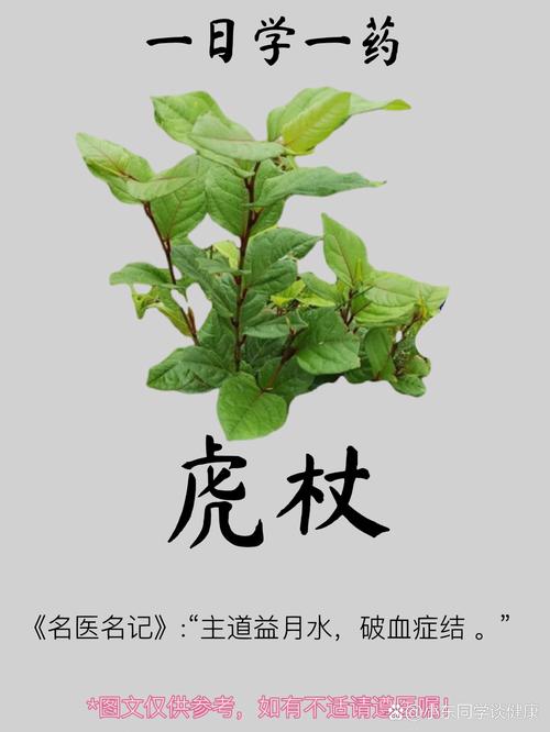 将军棒的作用，将军棒的作用与用途-第4张图片-优品飞百科