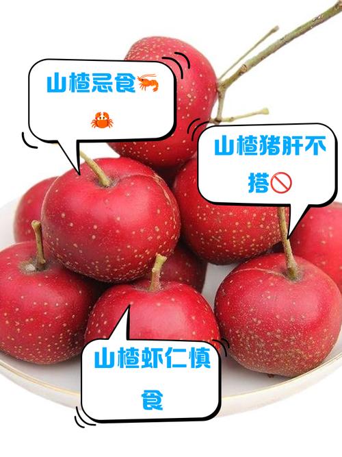 山楂不能和什么一起吃，新鲜山楂不能和什么一起吃？-第1张图片-优品飞百科