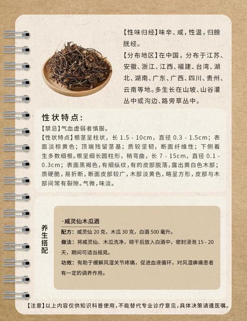 威灵仙的功效与作用，威灵仙的功效与作用及禁忌？-第1张图片-优品飞百科