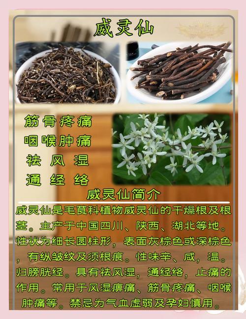 威灵仙的功效与作用，威灵仙的功效与作用及禁忌？-第3张图片-优品飞百科