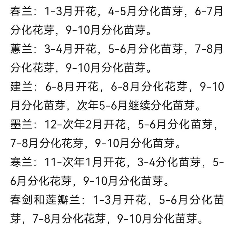 兰花什么季节开花（兰花花期），兰花什么季节开花的,大概几点-第2张图片-优品飞百科