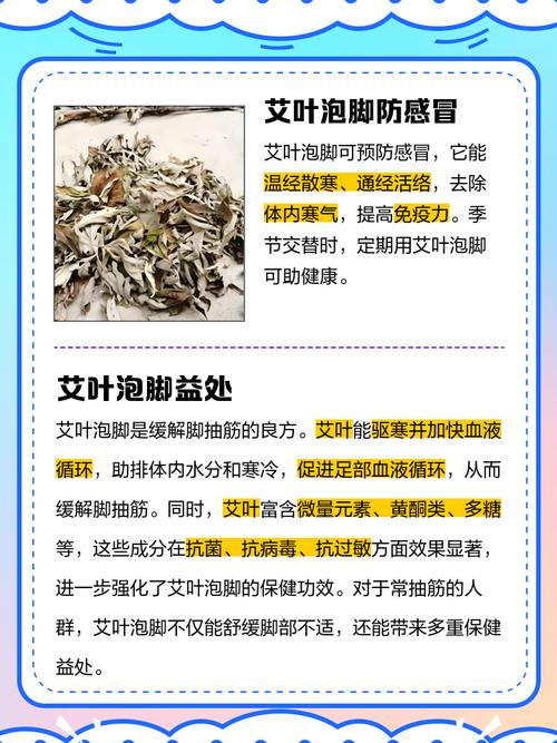 艾草有什么作用，艾草能减肥吗？艾草的功效和作用减肥？-第3张图片-优品飞百科