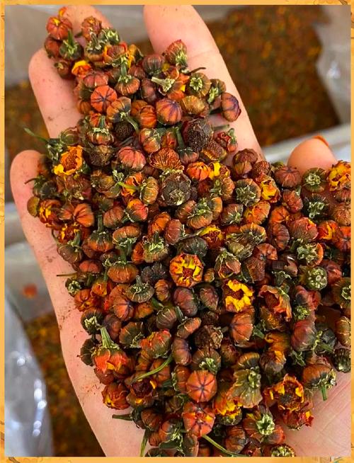 雪菊的功效与作用，云南雪菊的功效与作用？-第4张图片-优品飞百科