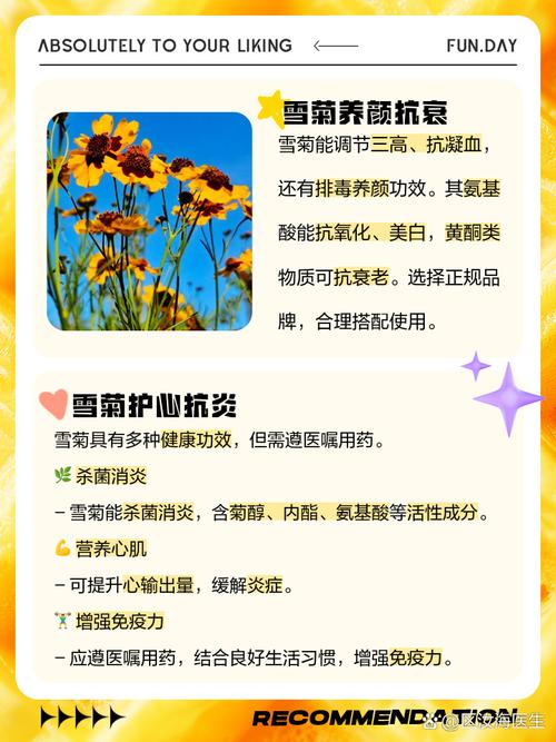 雪菊的功效与作用，云南雪菊的功效与作用？-第7张图片-优品飞百科