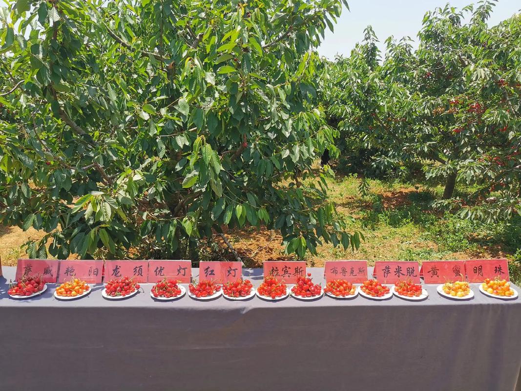 郑州市二七区天气预报，郑州市二七区天气预报最新-第1张图片-优品飞百科