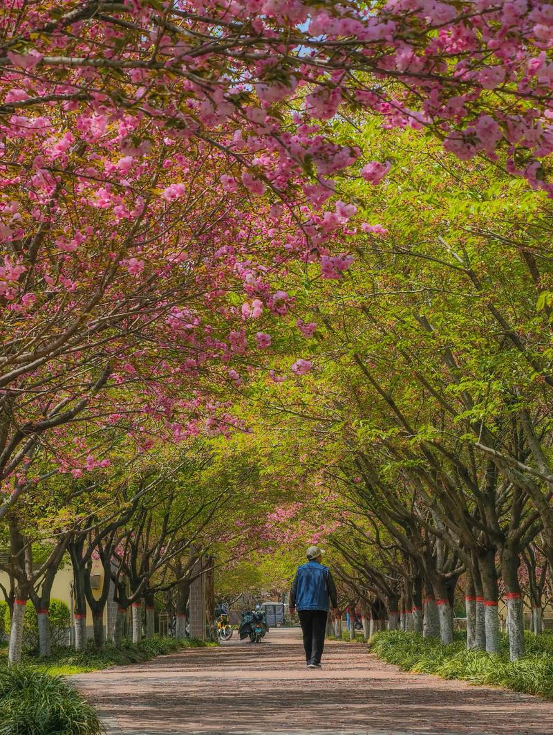 郑州市二七区天气预报，郑州市二七区天气预报最新-第5张图片-优品飞百科