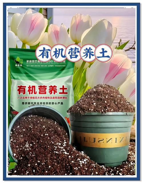 具有修复土壤能力的5种植物？土壤修复的主流技术包括哪些a热脱附解析b气相抽提？-第5张图片-优品飞百科