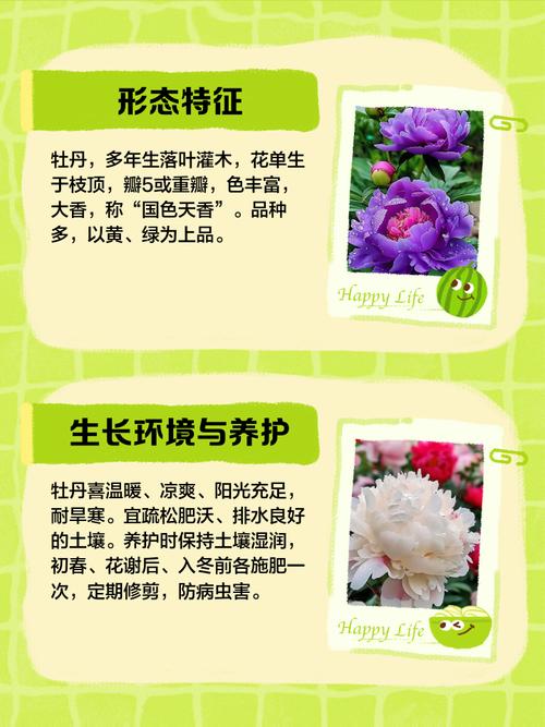 紫斑牡丹的传说，紫斑牡丹的传说和来历-第4张图片-优品飞百科