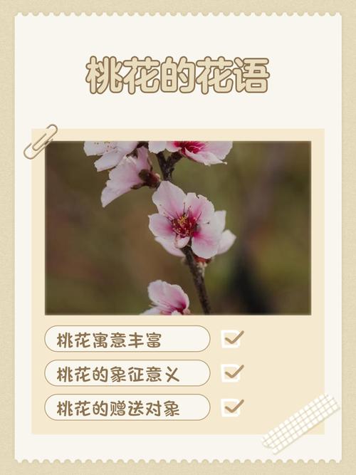 桃花的花语和传说？桃花的花语和传说有哪些？-第2张图片-优品飞百科