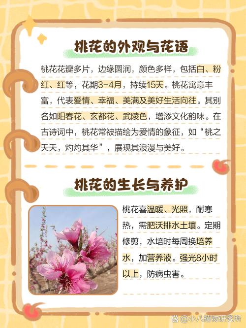 桃花的花语和传说？桃花的花语和传说有哪些？-第3张图片-优品飞百科