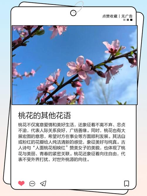 桃花的花语和传说？桃花的花语和传说有哪些？-第5张图片-优品飞百科