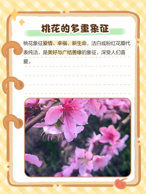 桃花的花语和传说？桃花的花语和传说有哪些？-第6张图片-优品飞百科