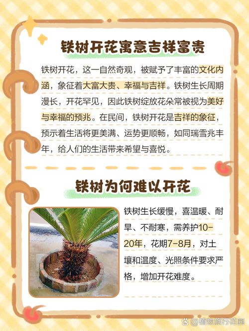 铁树开花象征什么意思，铁树开花是什么意义？-第3张图片-优品飞百科