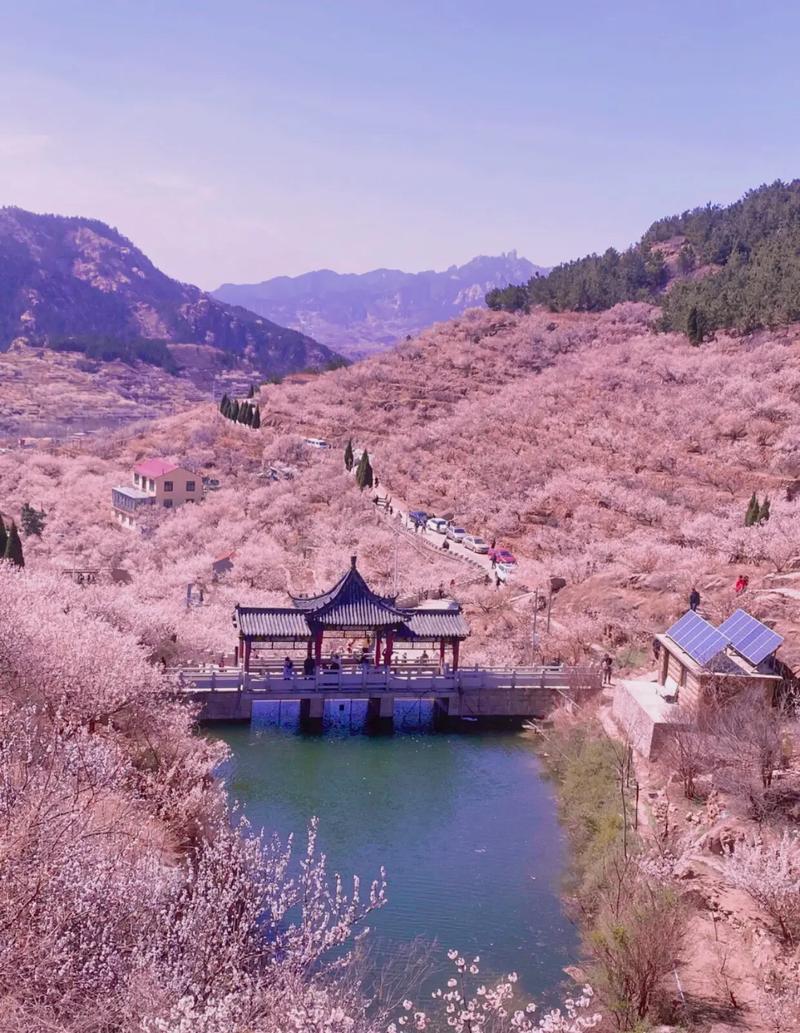 邹平县天气预报，邹平县天气预报24小时？-第1张图片-优品飞百科